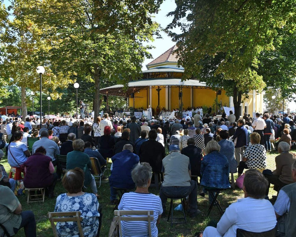 doroslovo-3-plbx5wdunp4qotgtxcculijc5kcjh1p8dc2bf9px6o