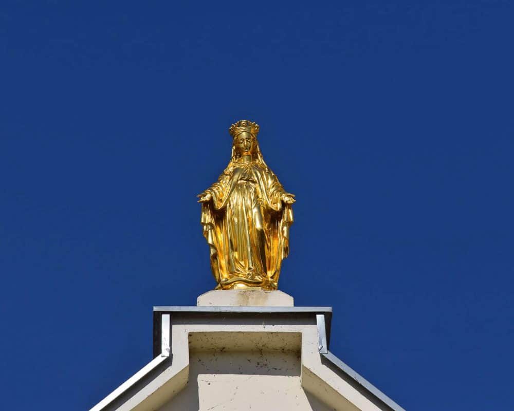 doroslovo-4-plbx5y9j1d7bc1e3md63qi29cc39wfwp1ldadtn4u8