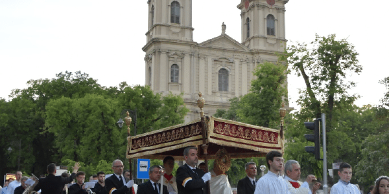 image-600x600(1)