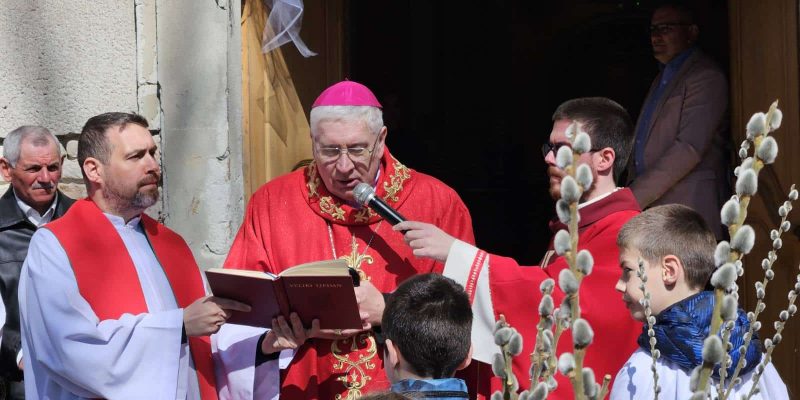 viber_image_2025-04-13_13-17-56-425